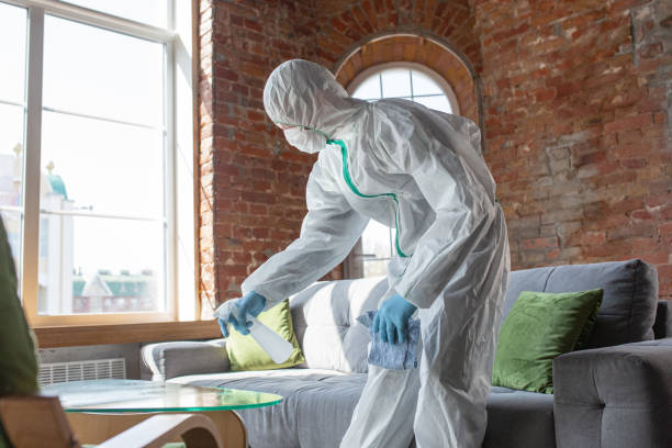 Reliable La Grulla, TX Mold Removal Solutions